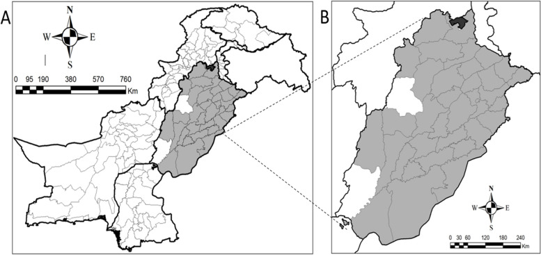 Fig. 1