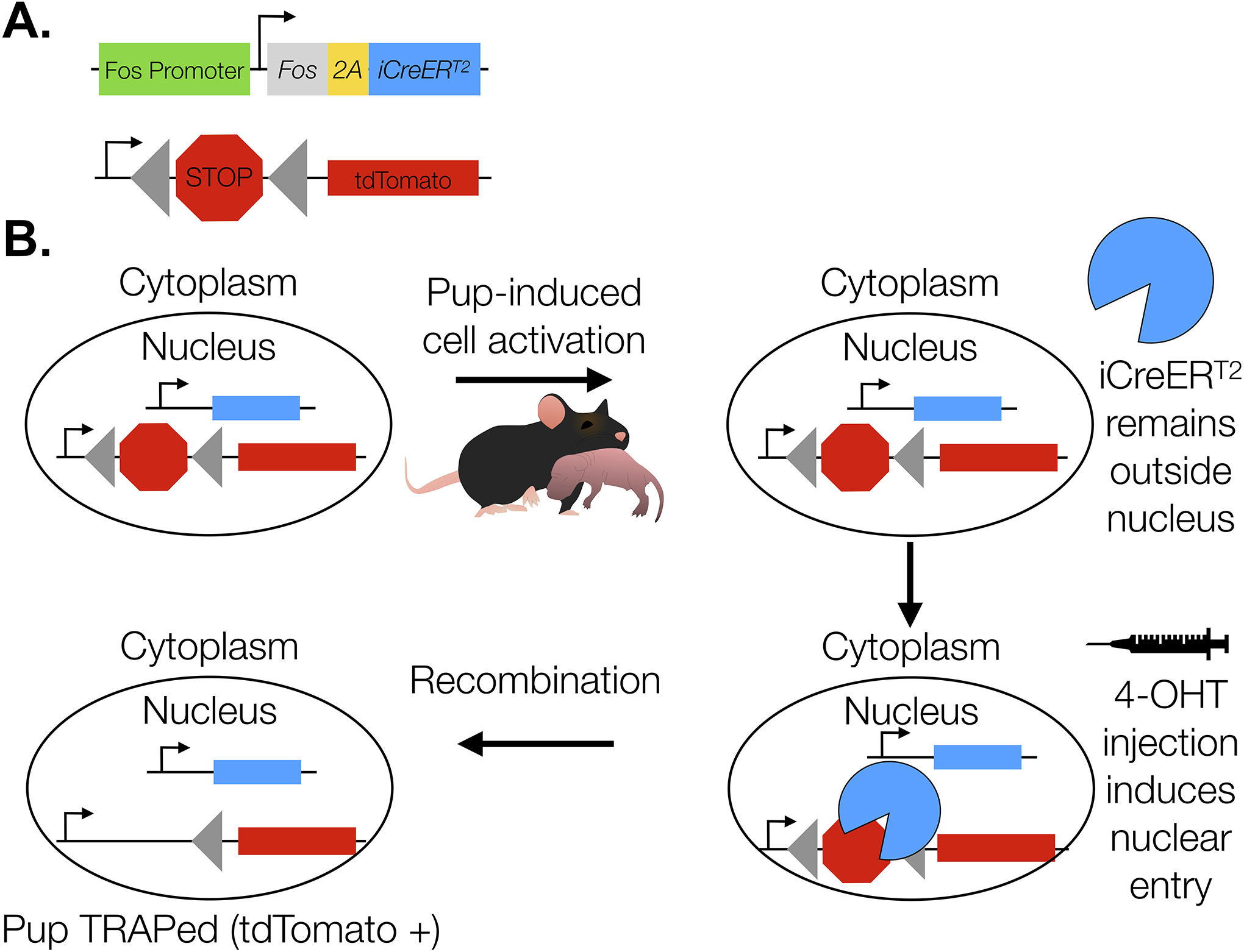 Figure 1.