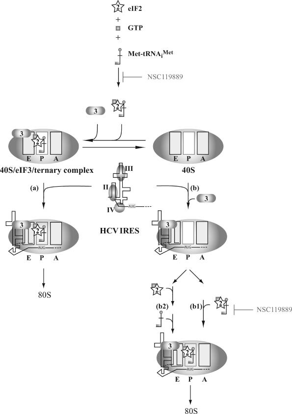 Figure 9.