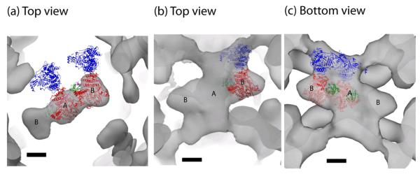 Figure 7