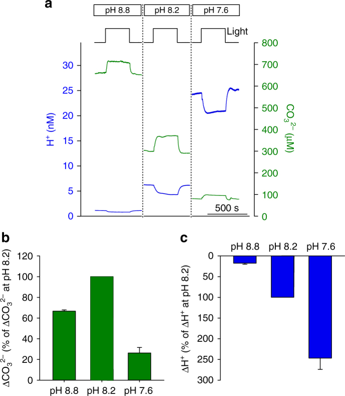 Fig. 8