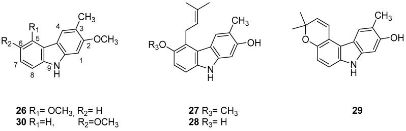 Figure 12