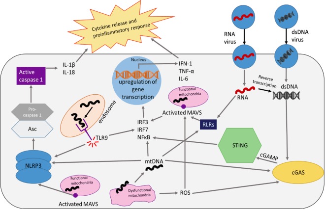 Figure 3.