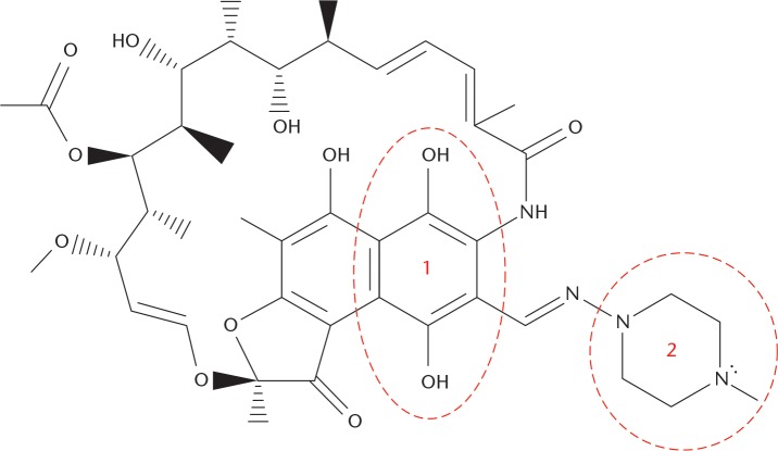 Fig. 1