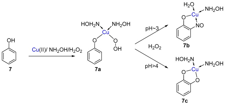 Scheme 5