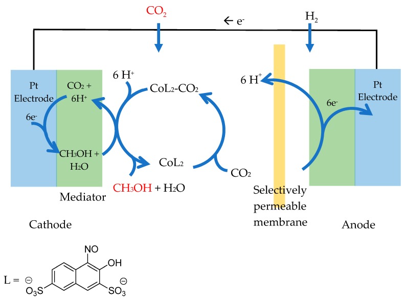 Figure 11