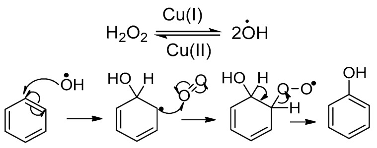 Scheme 8