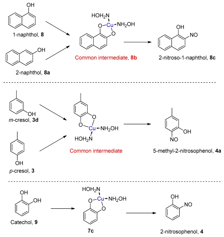 Scheme 6