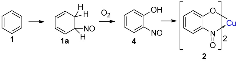 Scheme 4