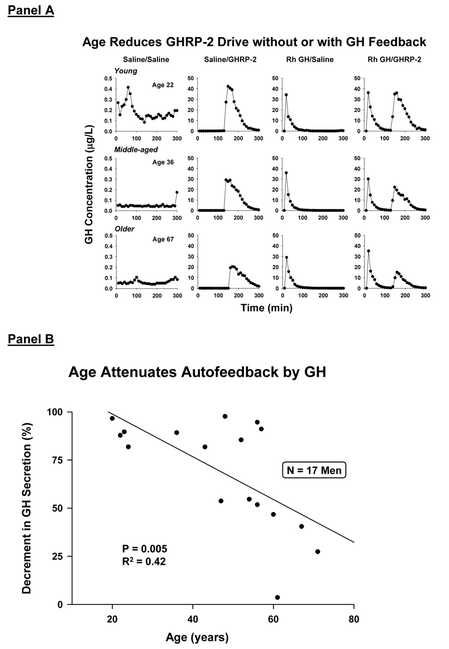 Figure 13