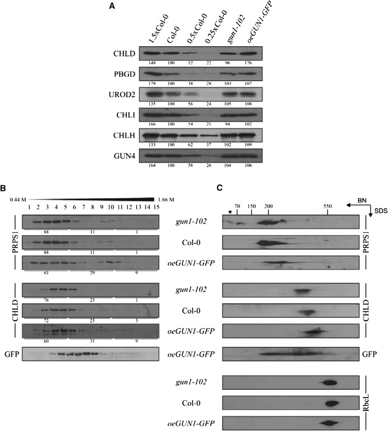 Figure 6.