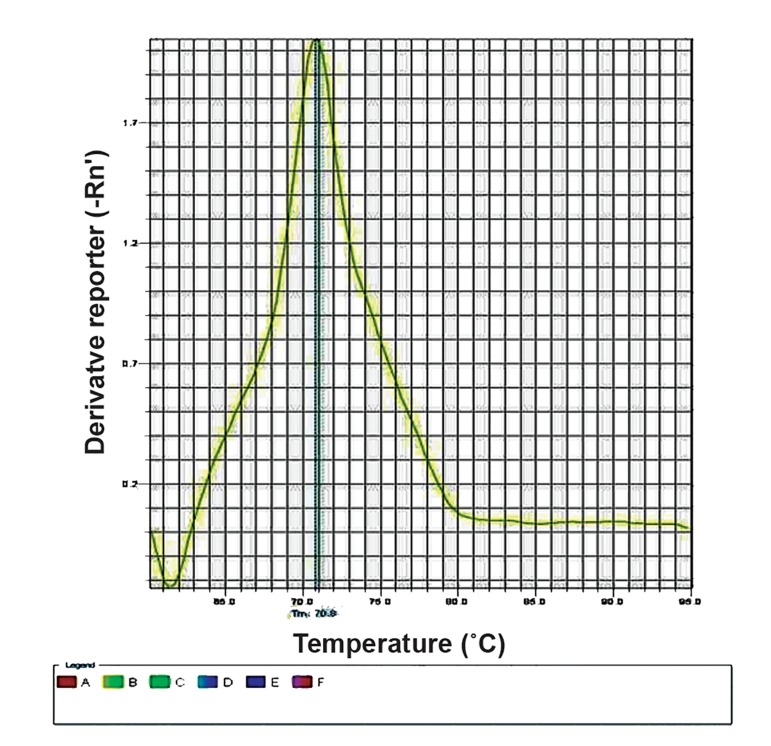 Fig.1