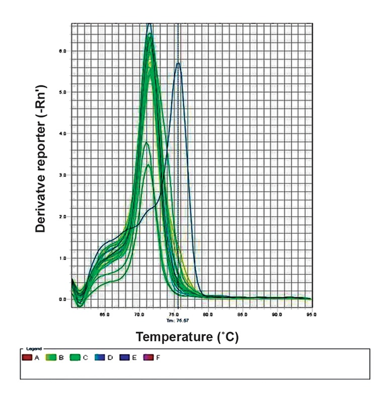 Fig.3