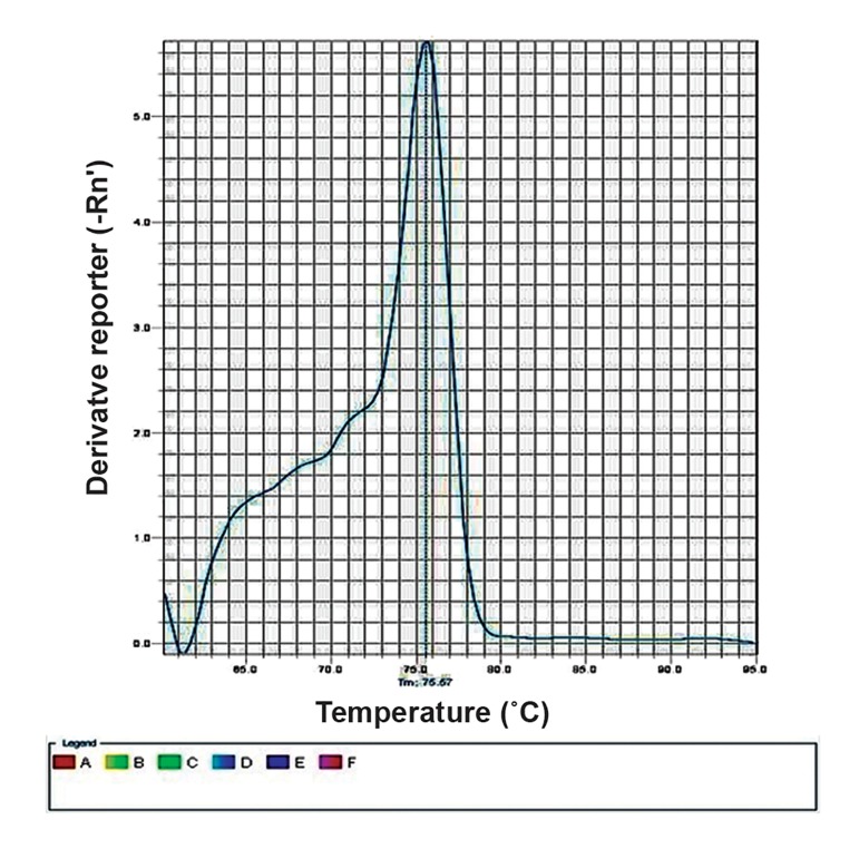 Fig.2