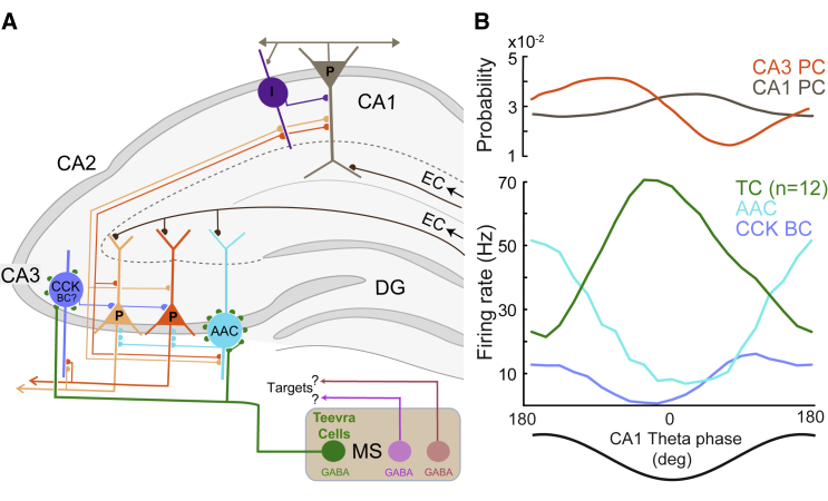 Figure 7