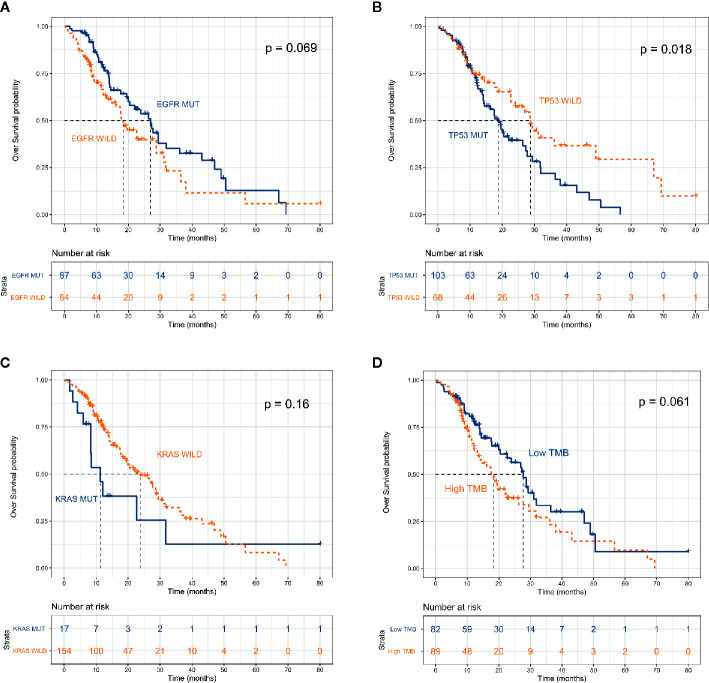 Treatment Patterns And Survival Of Patients With Advanced Non Small