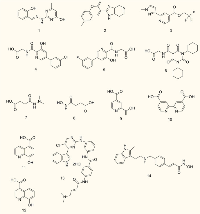 Figure 5