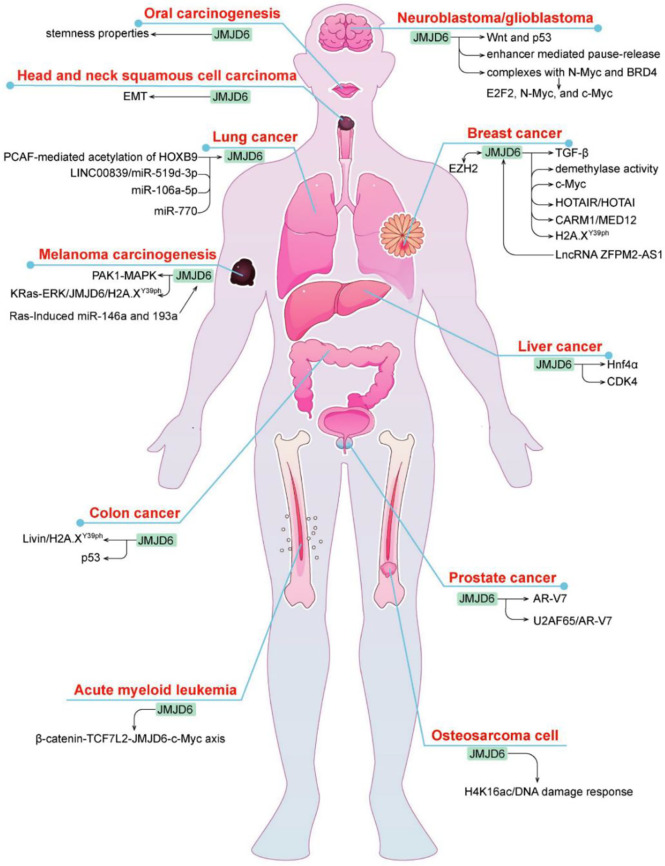 Figure 3