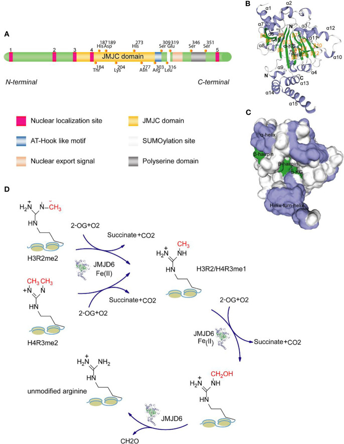 Figure 1