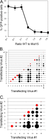 FIG 8