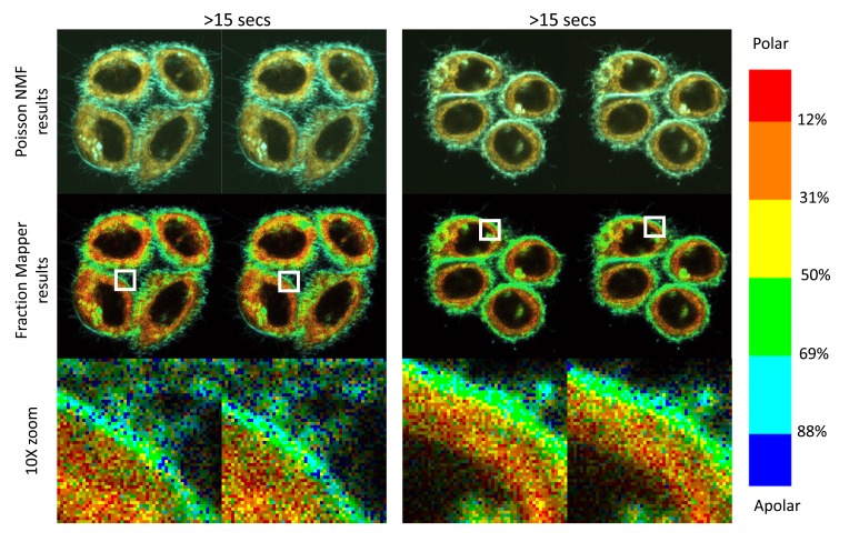 Figure 12. 