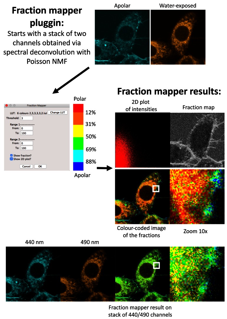 Figure 10. 