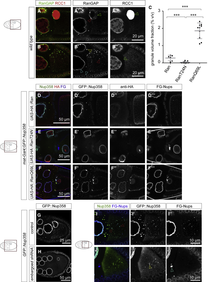 Figure 6