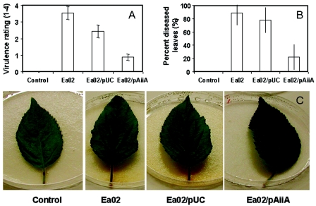 FIG. 5.