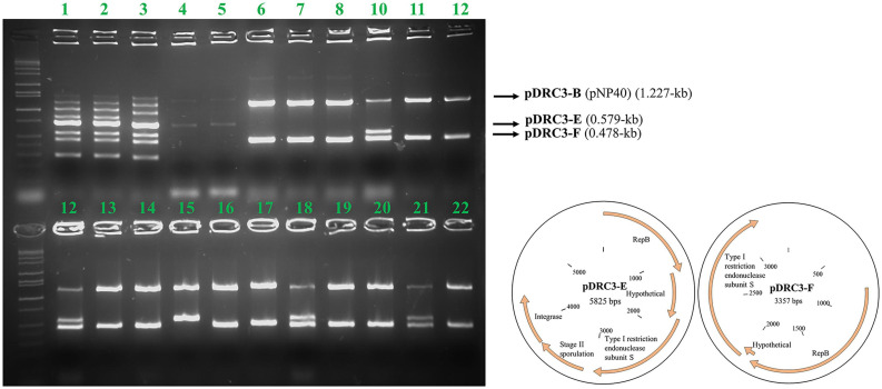 FIGURE 4