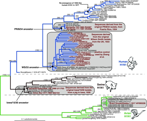 FIG. 1.