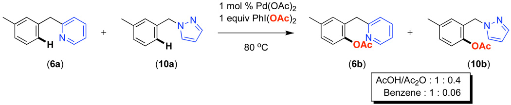 Scheme 5