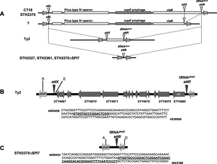 FIG. 6.