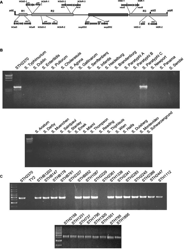 FIG. 2.