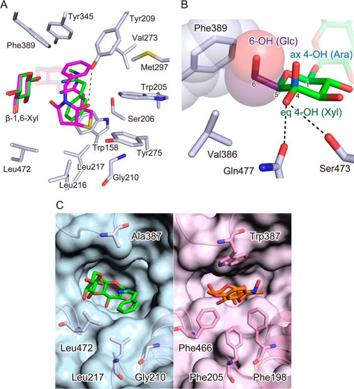 FIGURE 3.