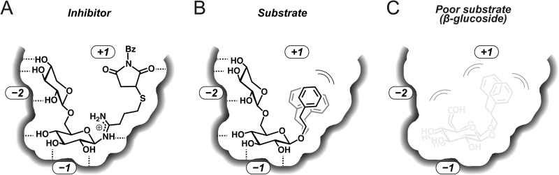 FIGURE 4.