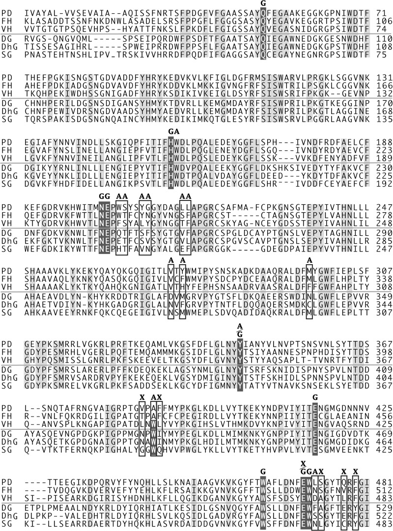 FIGURE 5.