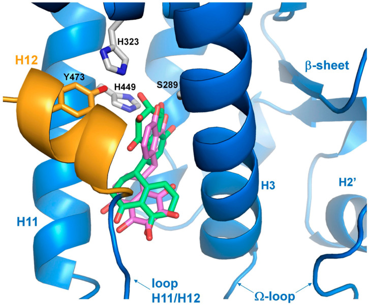 Figure 10