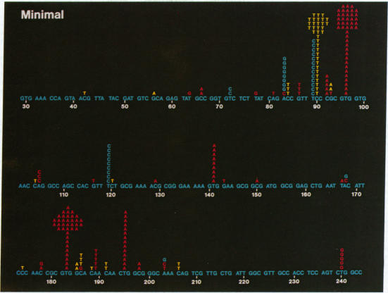 graphic file with name pnas00300-0308-a.jpg