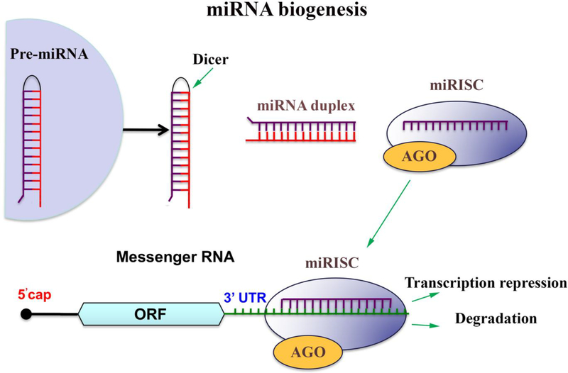 Figure 1: