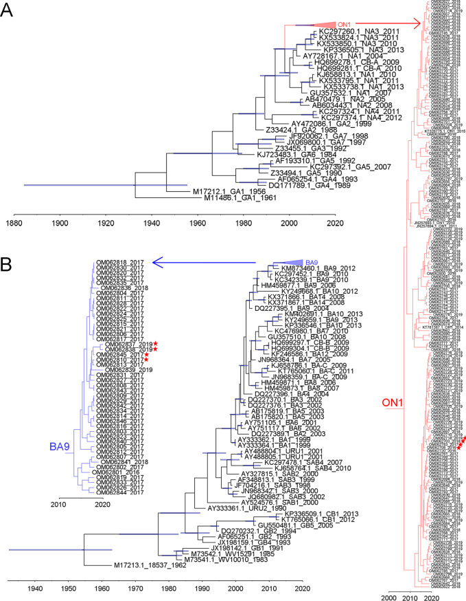 FIG 1