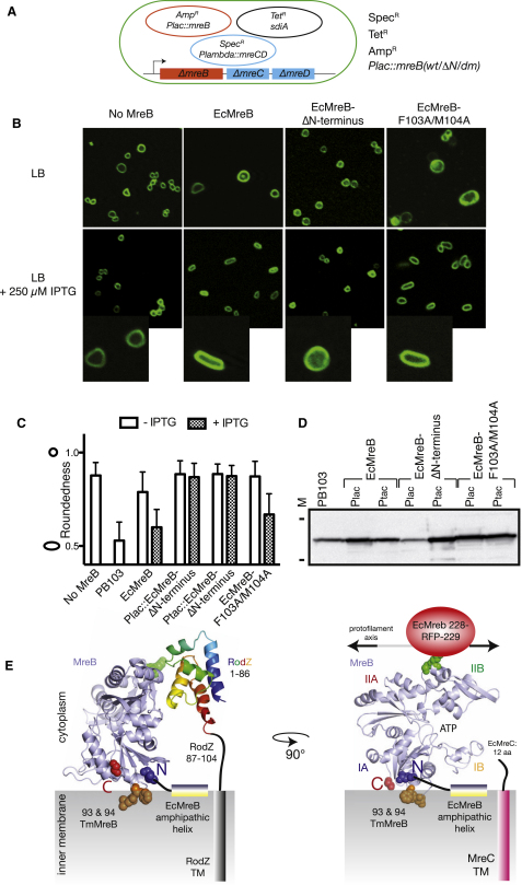 Figure 4