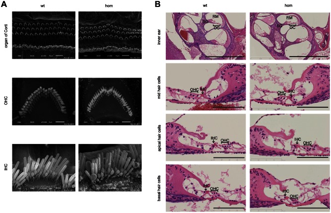 Figure 4.