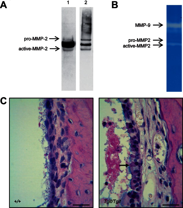 Figure 7.