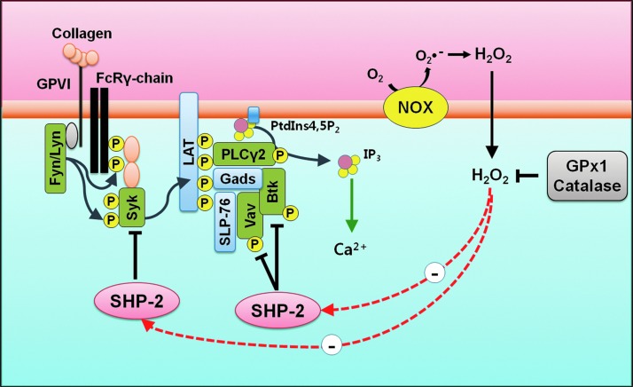 FIG. 6.