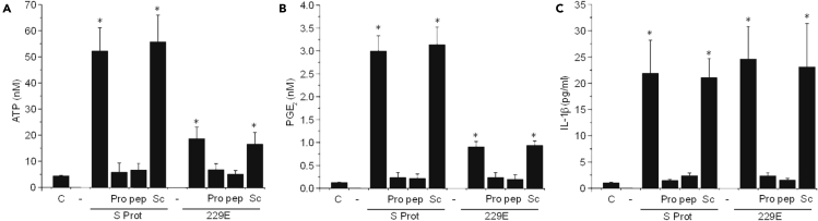 Figure 3