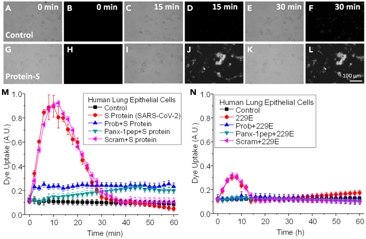 Figure 1