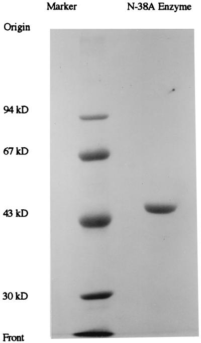 FIG. 1