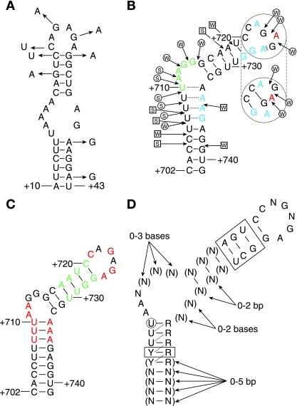 FIG. 13.