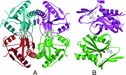 FIG. 14.