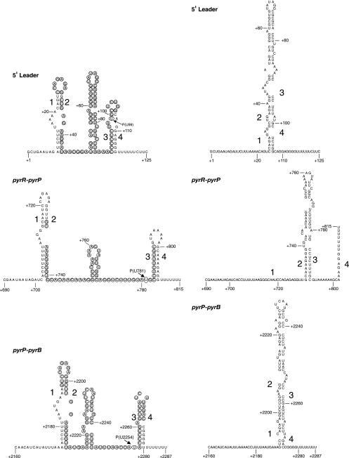 FIG. 11.